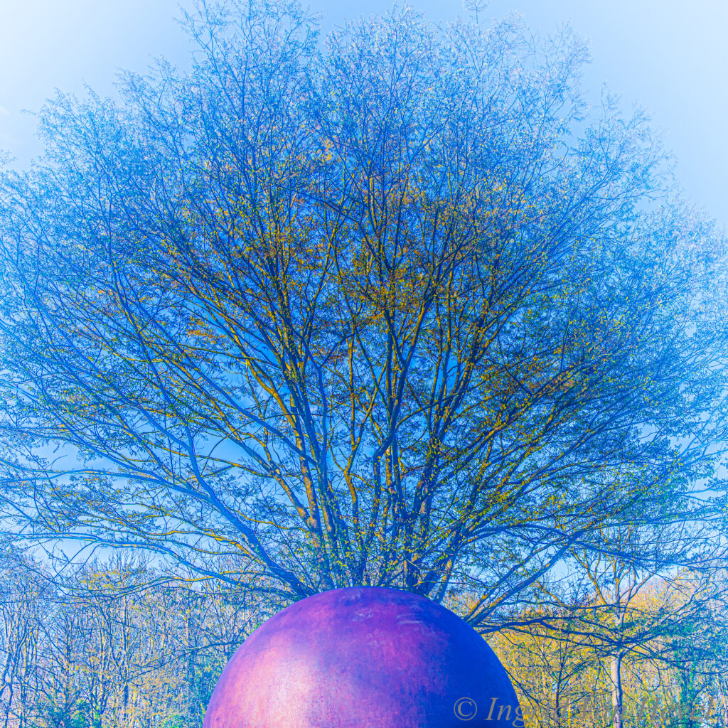 tree in ball